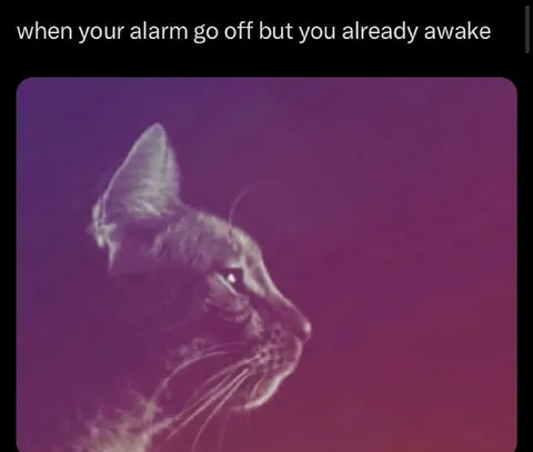 Alarm Goes Off Already Awake
