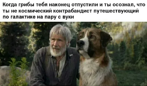 Грибы отпустили в галактику