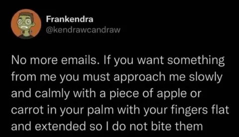 No More Emails, Approach Slowly