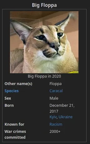 Big Floppa War Crimes
