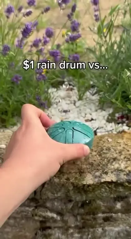 Rain Drum Versus Free Rain Bucket