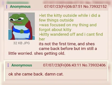 Kitty Wandered Off Again