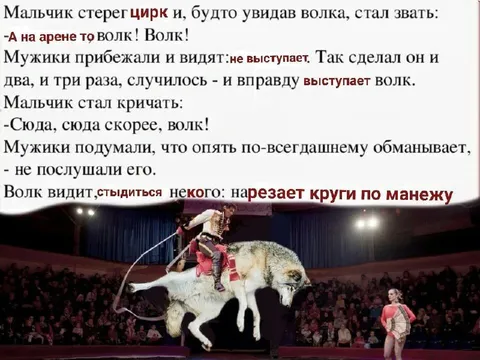 Волк нарезает круги по манежу