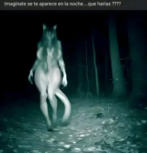 Criatura extraña en el bosque