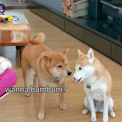 Wanna bumbum?