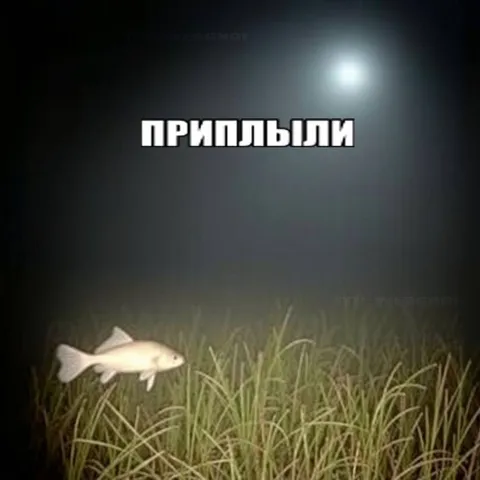 Приплыли
