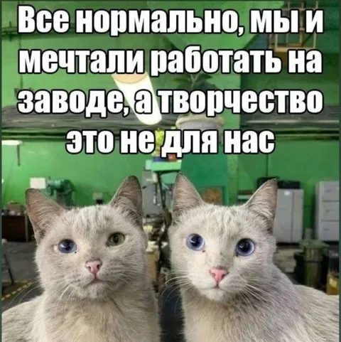 Коты мечтают о творчестве