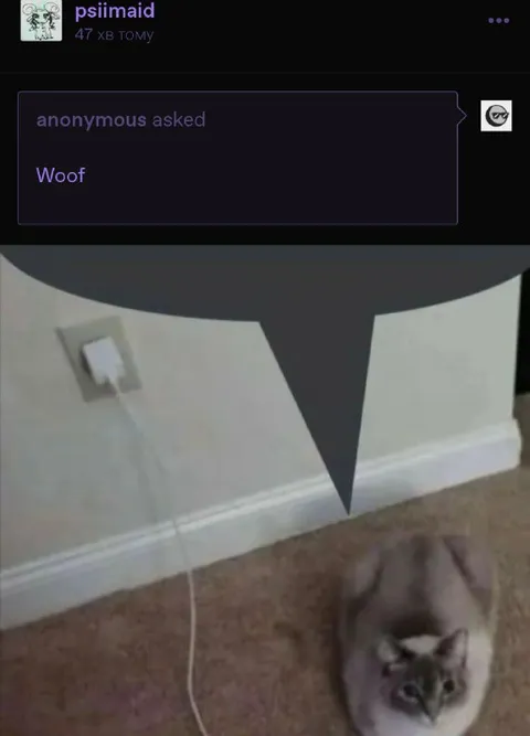 Anonymous Asked Woof
