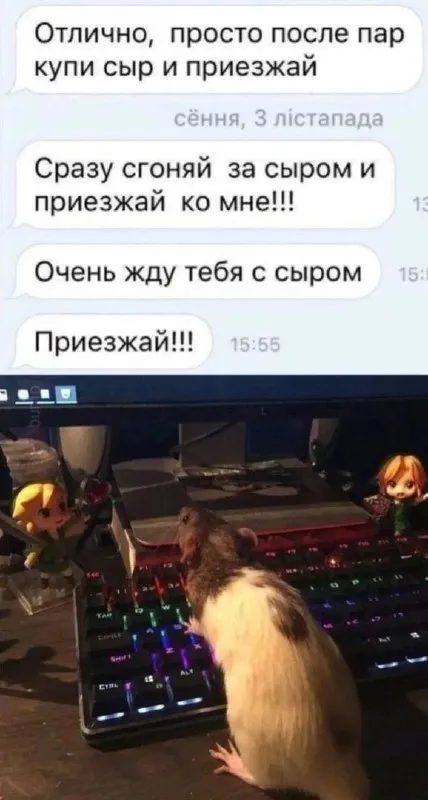 Приезжай с сыром