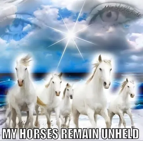 My Horses Remain Unheld