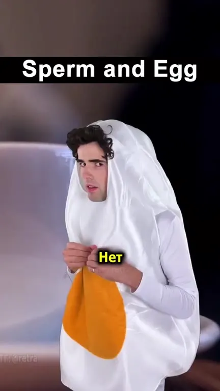 Сперматозоид и яйцеклетка на завтрак