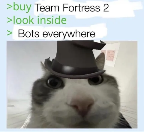 Team Fortress 2 Bots Everywhere