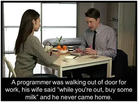 Programmer Never Came Home