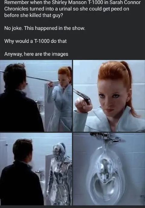 T-1000 Turns Into a Urinal