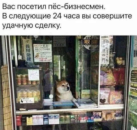 Пёс-бизнесмен заключает сделку