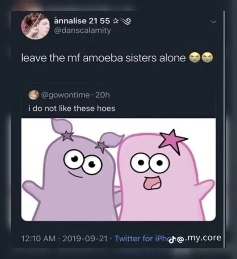 Leave the Amoeba Sisters Alone
