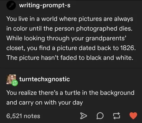The Immortal Turtle in 1826