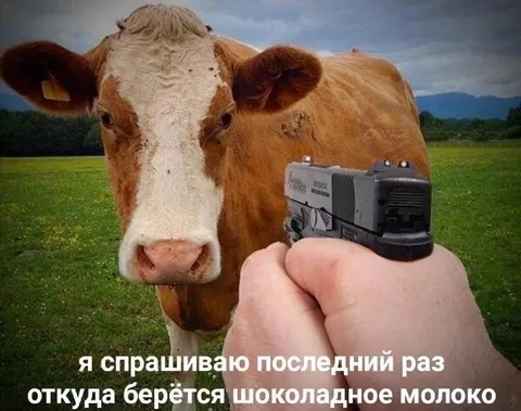 Корова и шоколадное молоко