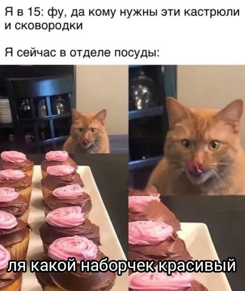 Кот выбирает красивый набор