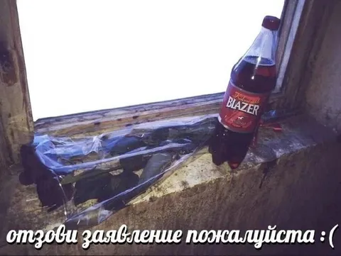 Отзови заявление пожалуйста