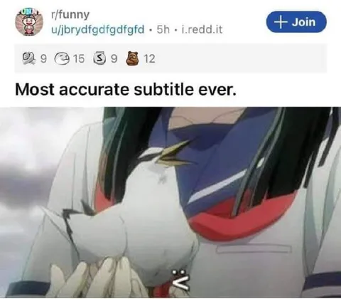 Most Accurate Subtitle Ever