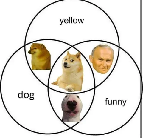 Yellow Doge Funny Venn Diagram