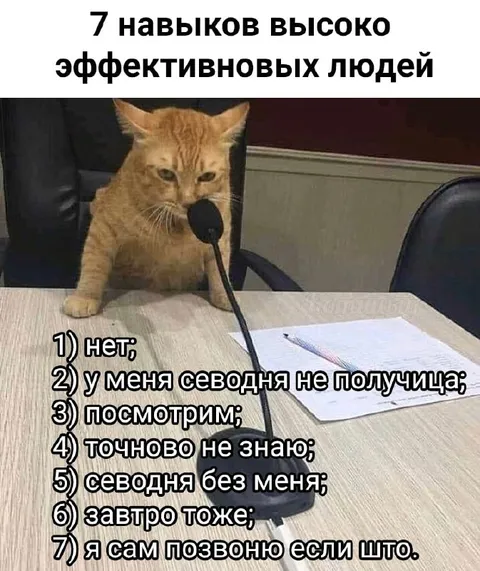 Семь навыков эффективных людей
