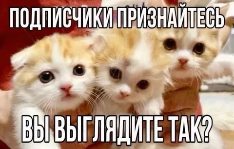 Подписчики, признайтесь