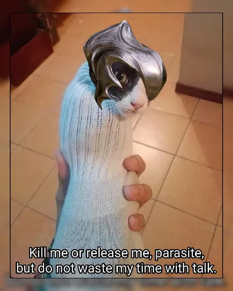 Kill Me or Release Me