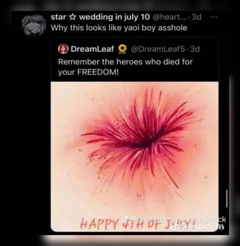 Yaoi Boy Asshole Firework
