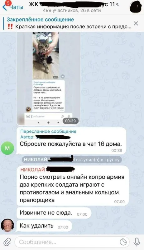 Порно не туда отправил