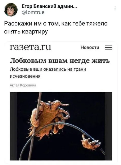 Тяжело снять квартиру вши