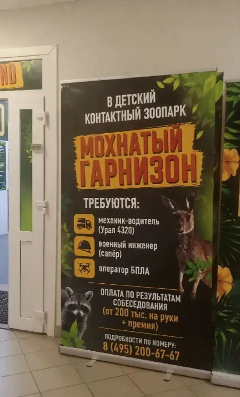 Мохнатый гарнизон набирает военных