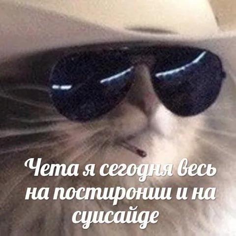 Кот на постороннии и суисайде