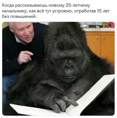 Объясняешь новичку устройство работы