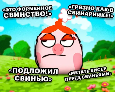 Свинья узнала о свинстве