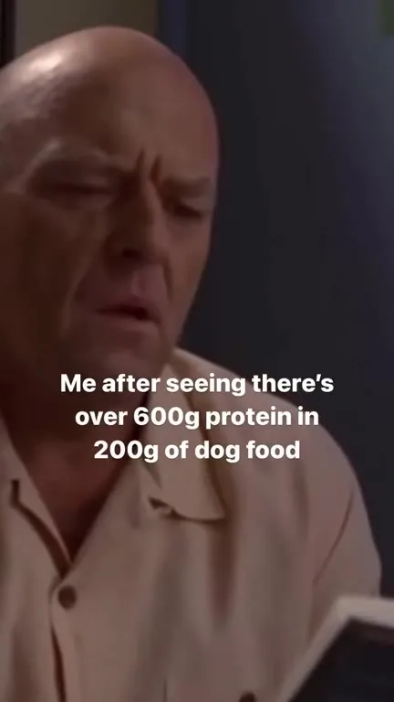 600g Protein in Dog Food