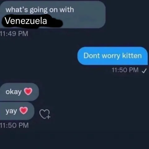 Don't Worry Kitten
