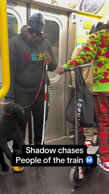 Shadow Chases People on the Train