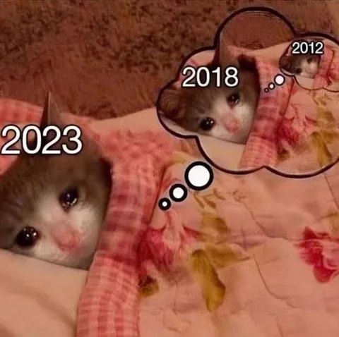 Кот вспоминает 2012 год