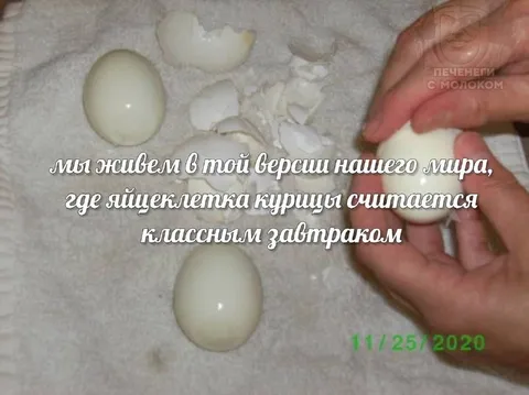 Яйцеклетка курицы на завтрак
