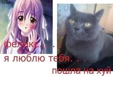 Я люблю тебя, Феликс