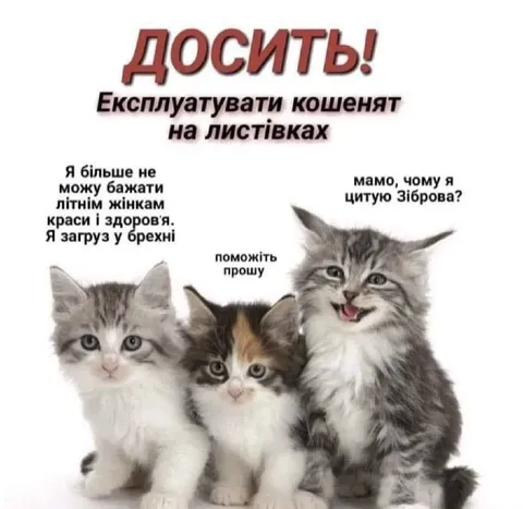 Кошенята на листівках