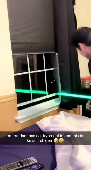 Kevin's First Cat Defense Idea