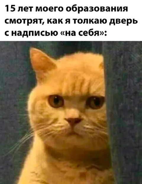 Кот толкает дверь на себя