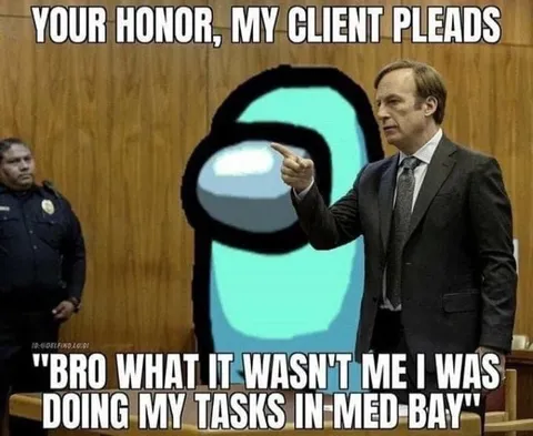 Your Honor My Client Pleads