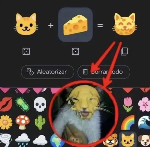 Gato más queso igual gato