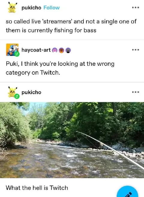 Wrong Twitch Category