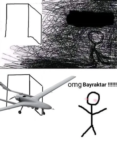 Omg Bayraktar Reaction