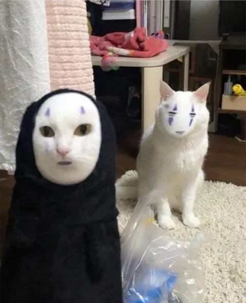 Кот в образе Безликого